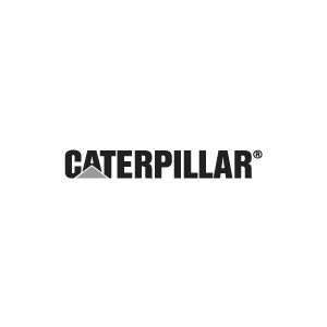 Caterpillar